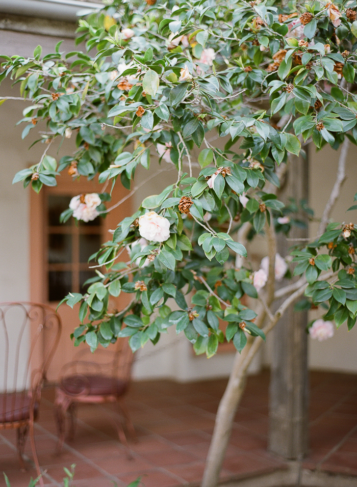 San Diego Wedding Photographer